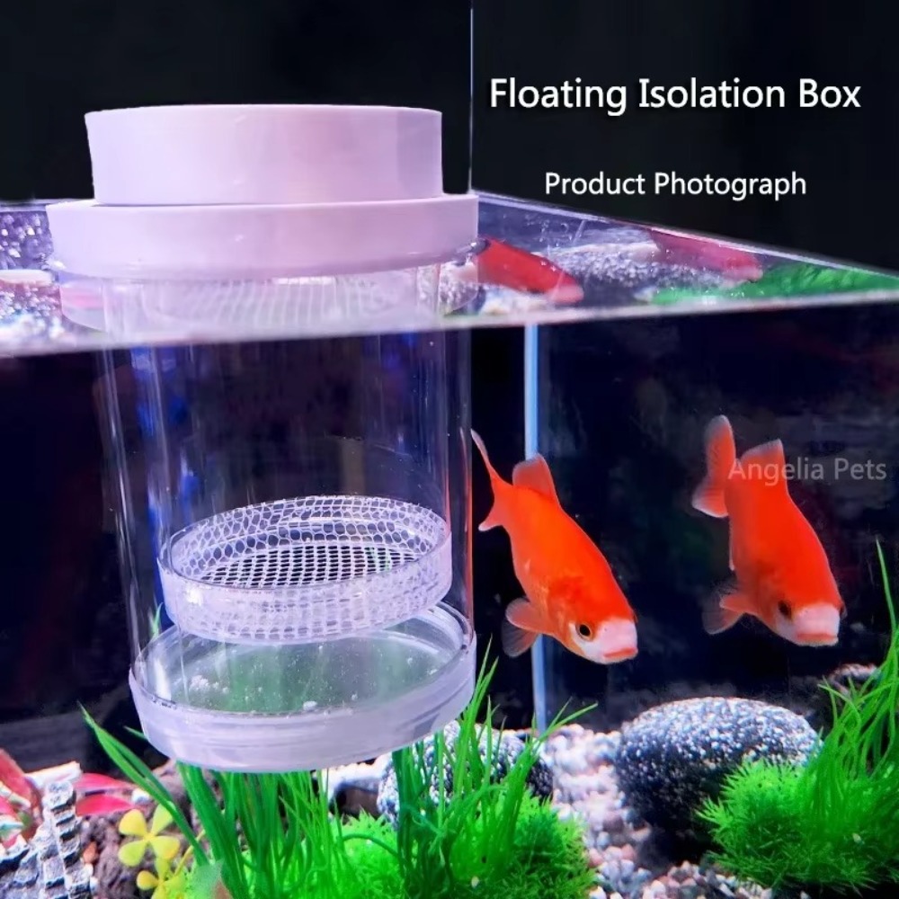 Plastic Floating Fish Breeding - Aquarium Fish Auto Feeder のレビューと価格