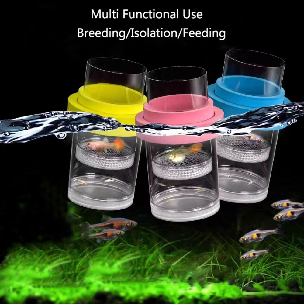 Plastic Floating Fish Breeding - Aquarium Fish Auto Feeder のレビューと価格