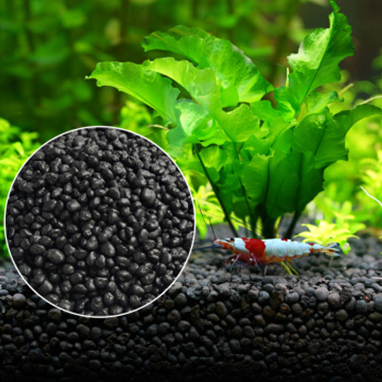 Aquarium Plant Seeds Soil Fish - Aquarium Fish Quarantine のレビューと価格