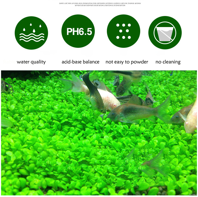 Aquarium Plant Seeds Soil Fish - Aquarium Fish Quarantine のレビューと価格