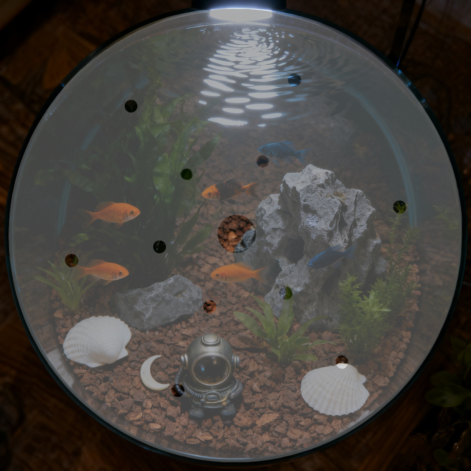 Round Acrylic Aquarium Anti-Es - Aquarium Fish Jumping のレビューと価格