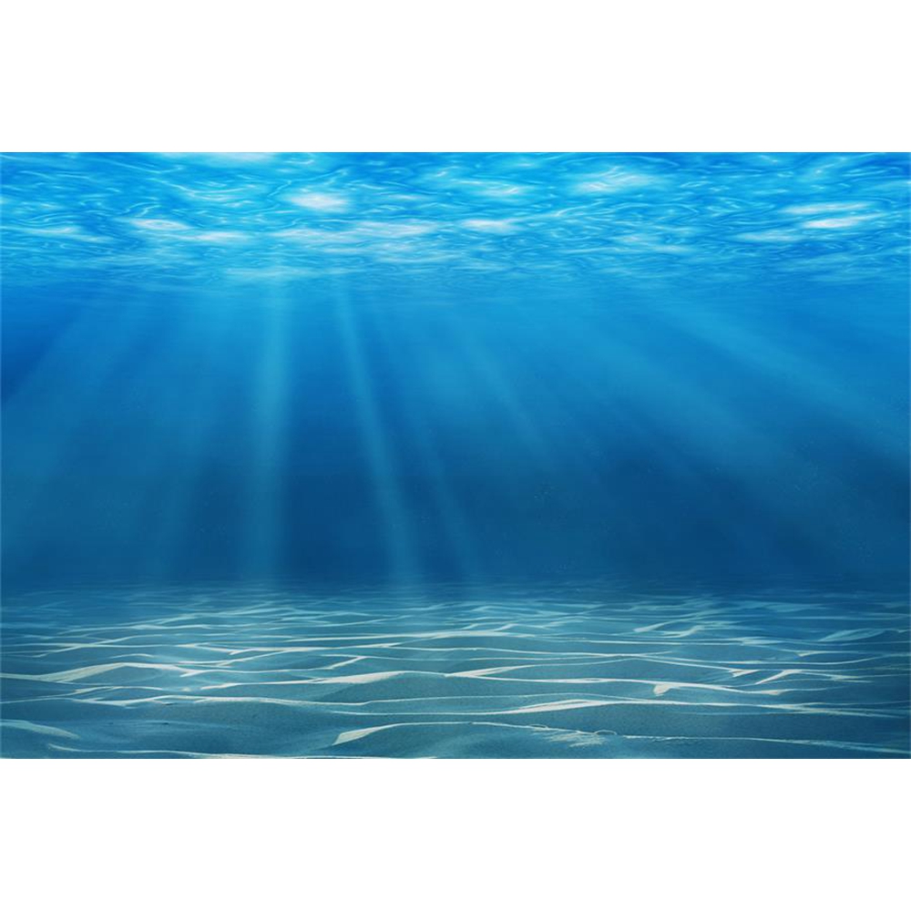 Underwater World Seabed Photog - Aquarium Fish Of The World のレビューと価格