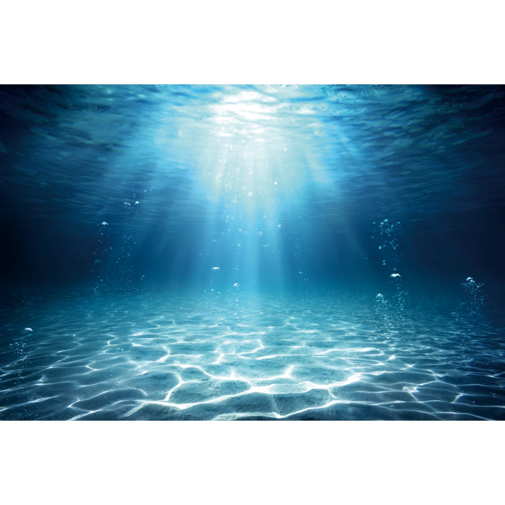 Underwater World Seabed Photog - Aquarium Fish Of The World のレビューと価格