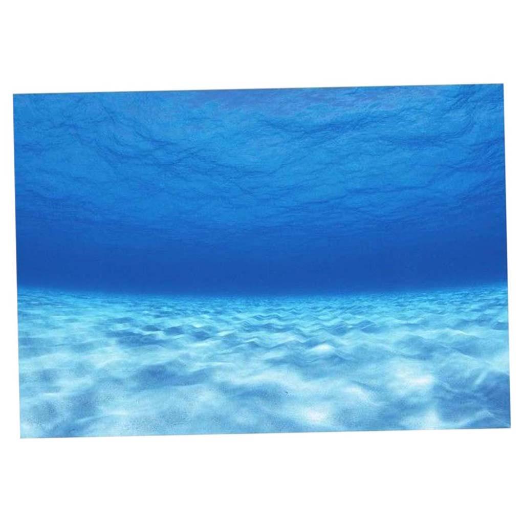 Side Decorative Aquarium Backg - Aquarium Fish Of The World のレビューと価格