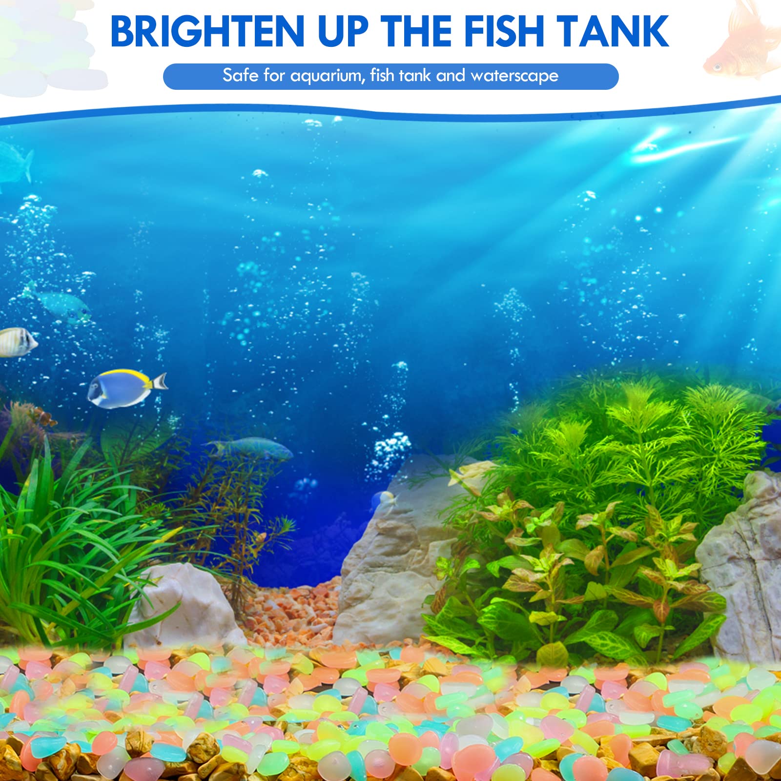 100Pcs Glow in the Dark Garden - Aquarium Fish House のレビューと価格