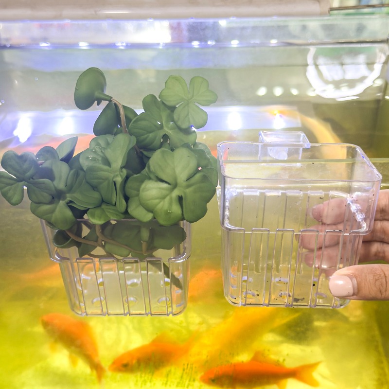 1/5pcs Aquarium Decoration Pla - Aquarium Fish House のレビューと価格