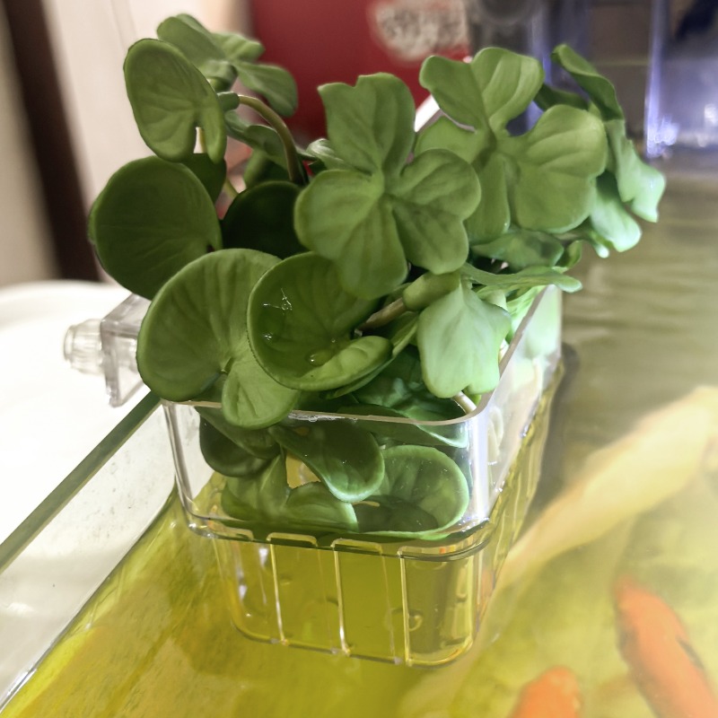 1/5pcs Aquarium Decoration Pla - Aquarium Fish House のレビューと価格