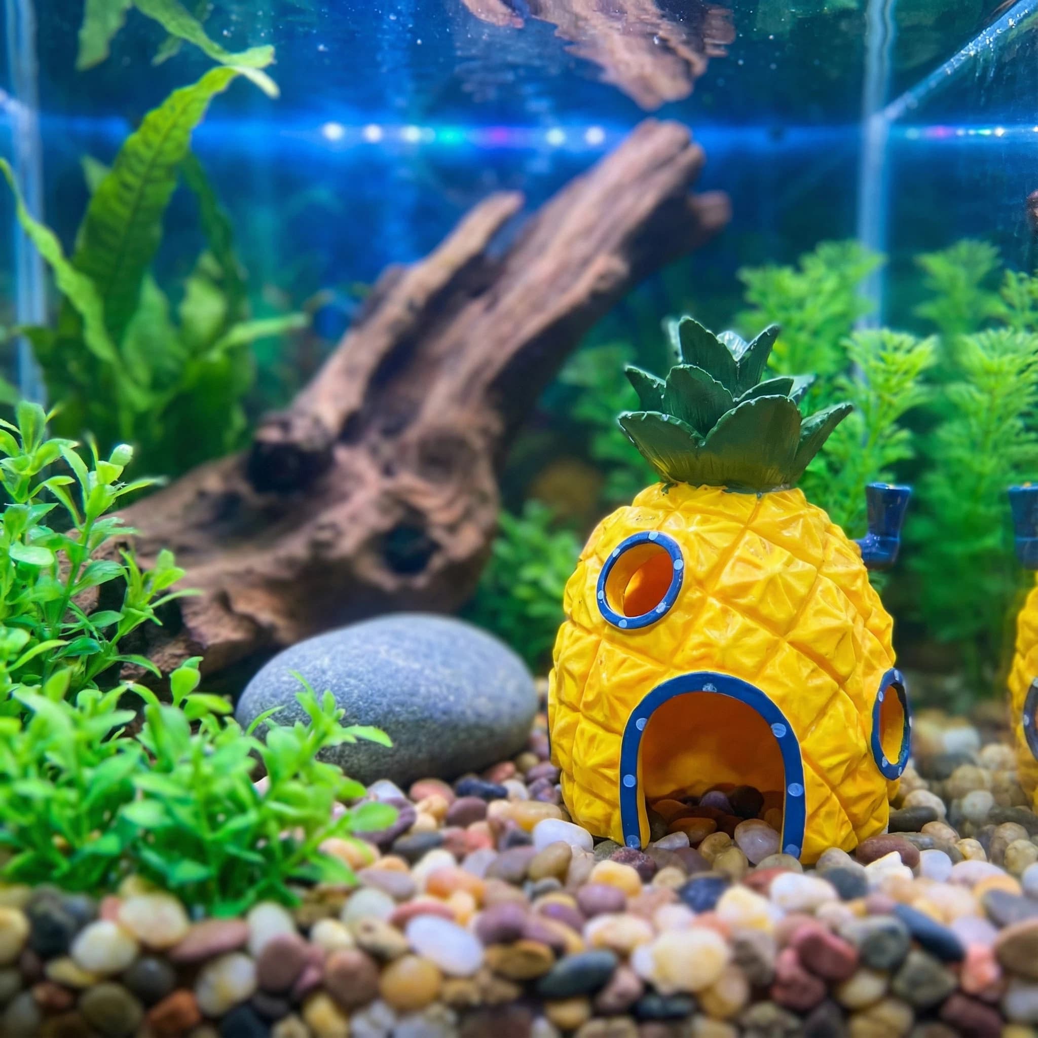 Pineapple House Aquarium Decor - Aquarium Fish Hide のレビューと価格