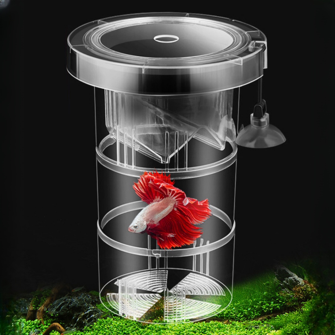 Acrylic Floating Fish Breeding - Aquarium Fish Auto Feeder のレビューと価格