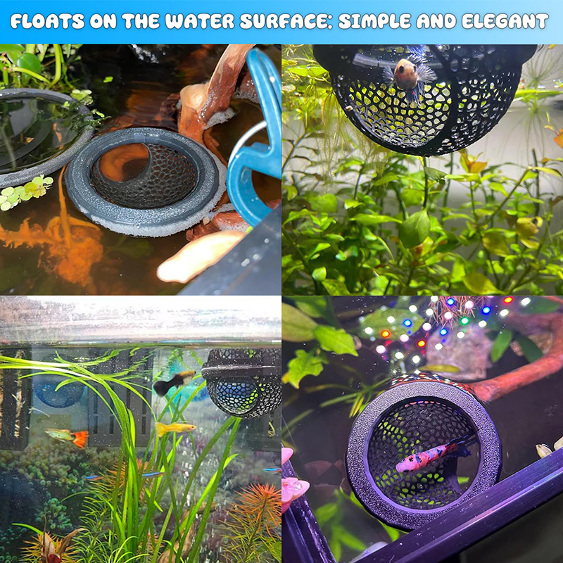 Ring FLoatinG Betta Hide Shrim - Aquarium Fish Hide のレビューと価格