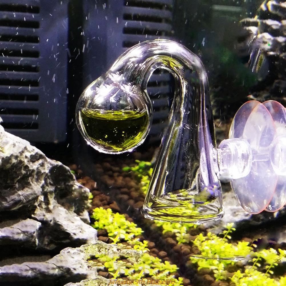 Fish Tank CO2 Diffuse Glass Dr - Aquarium Fish Quarantine のレビューと価格