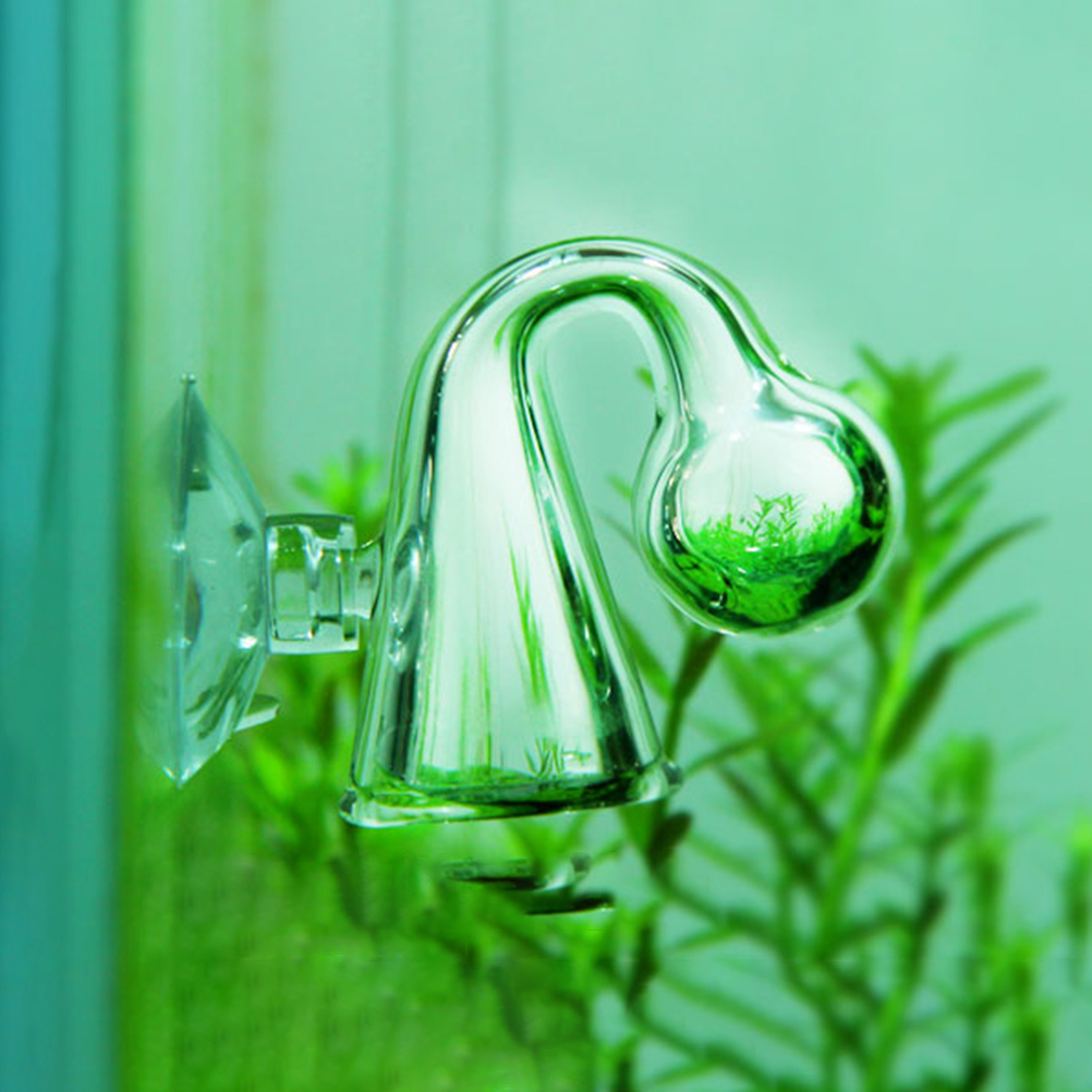Fish Tank CO2 Diffuse Glass Dr - Aquarium Fish Quarantine のレビューと価格