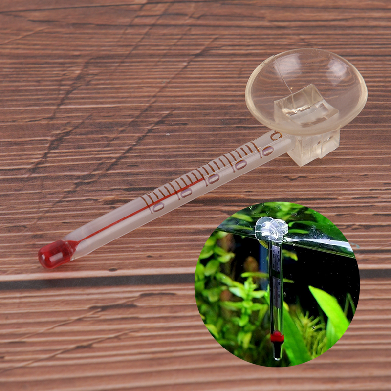 Glass meter aquarium fish tank - Aquarium Fish House のレビューと価格