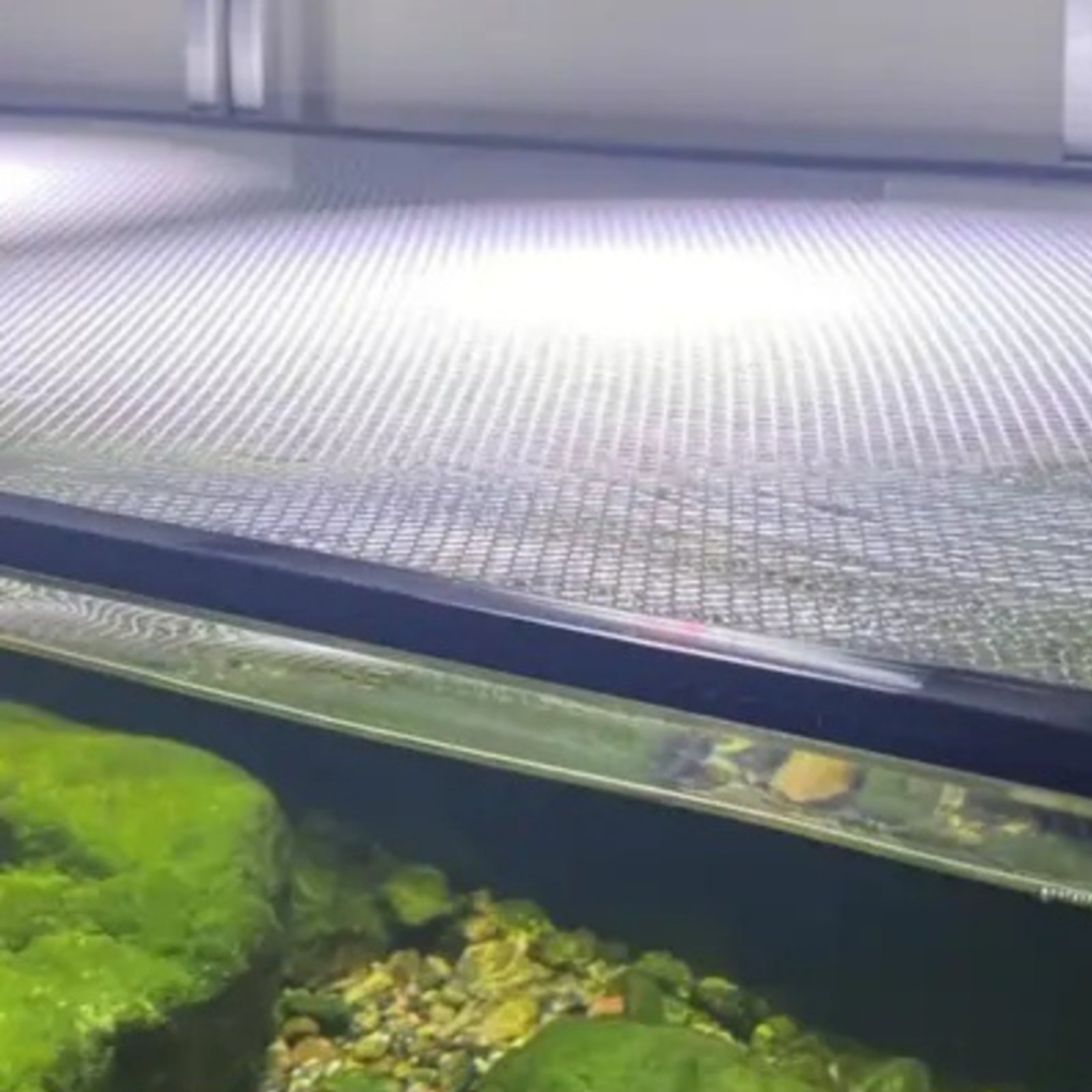 Fish Aquarium Net Cover Quick  - Aquarium Fish Jumping のレビューと価格