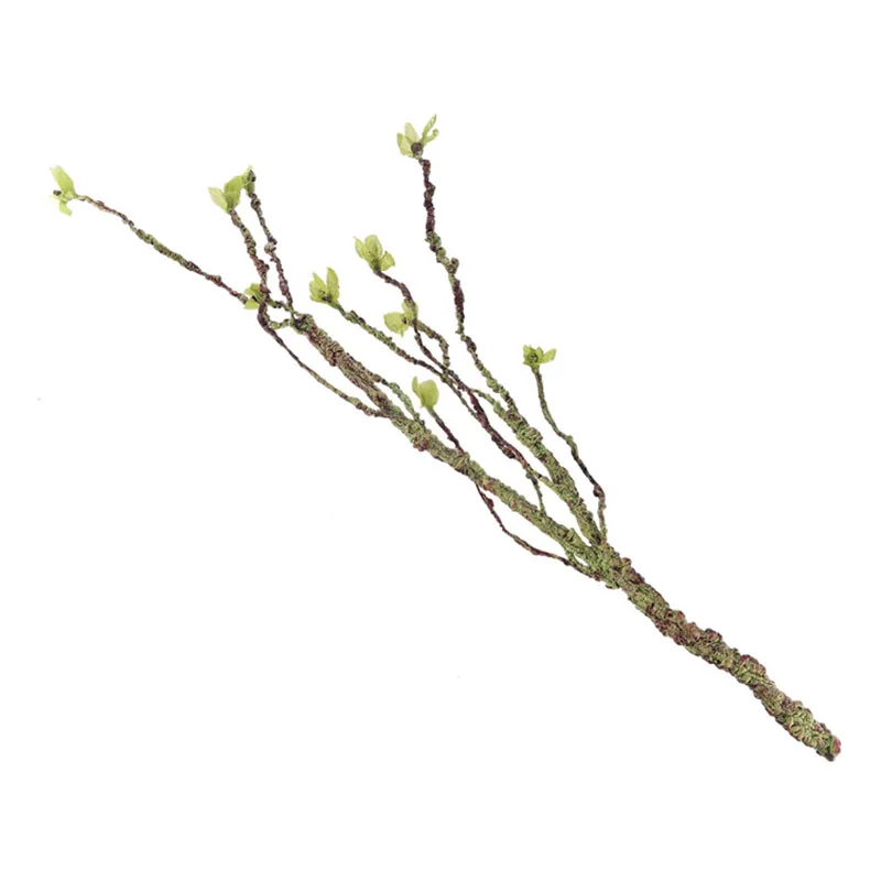 Vines Decor Climbing Branches  - Aquarium Fish Cartoon のレビューと価格