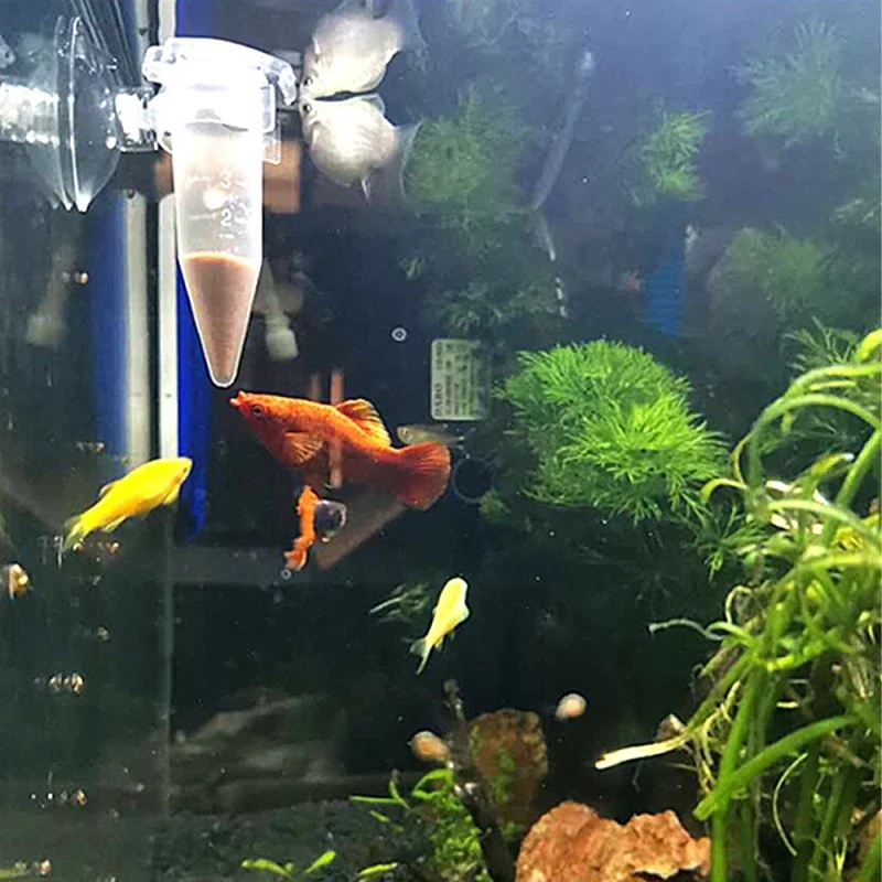 Automatic Fish Feeder Cone Shr - Aquarium Fish Auto Feeder のレビューと価格
