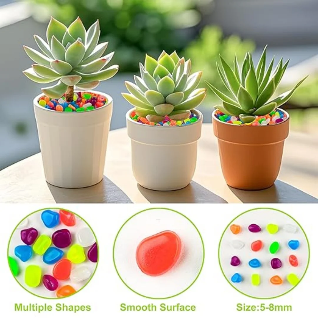 500Pcs Glow in The Dark Garden - Aquarium Fish House のレビューと価格