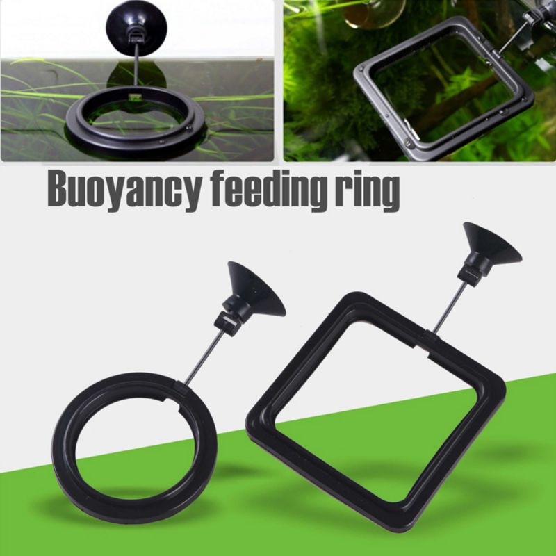 Aquarium Fish Feeding Ring Fis - Aquarium Fish Auto Feeder のレビューと価格